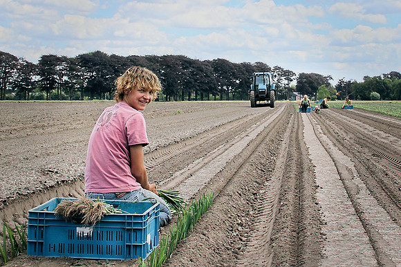 planting crops